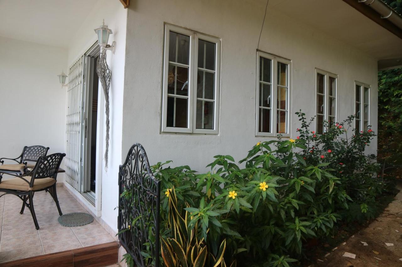 Seychelles Yellow Petals Apartment Anse Boileau Екстериор снимка