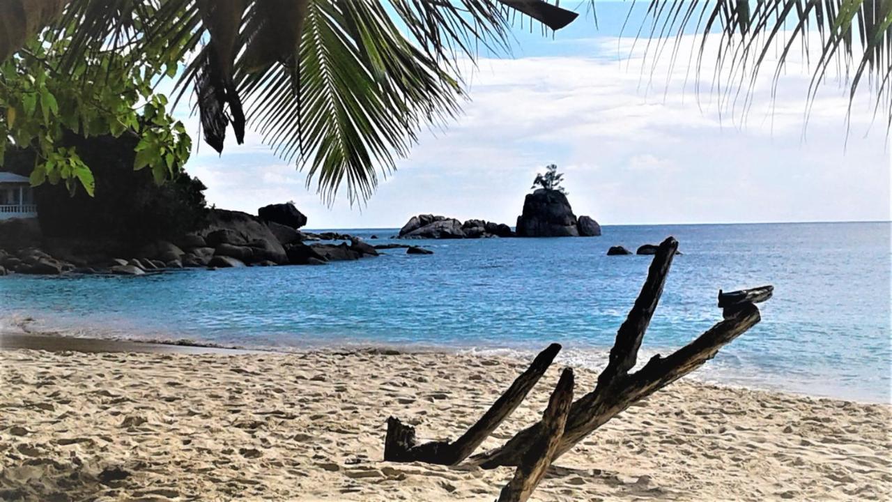 Seychelles Yellow Petals Anse Boileau Екстериор снимка