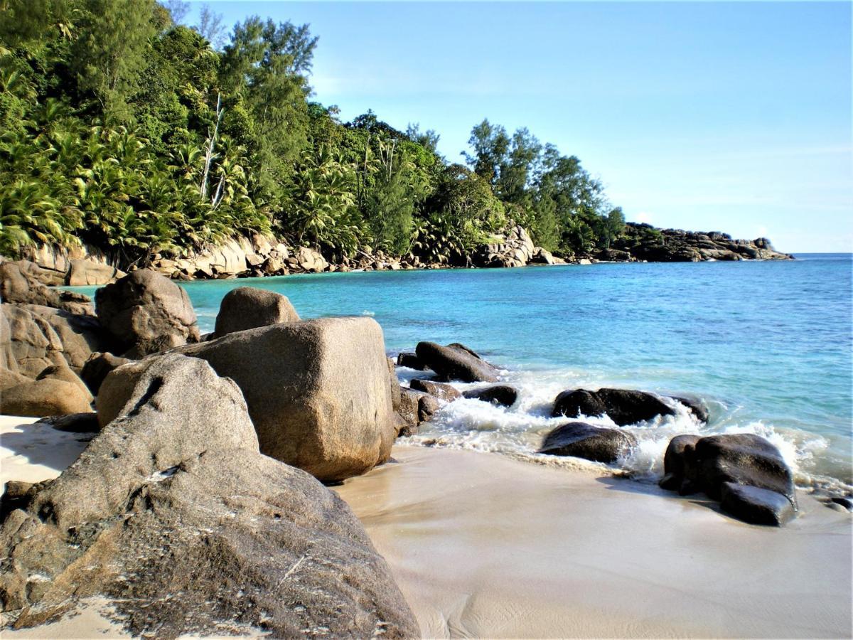 Seychelles Yellow Petals Anse Boileau Екстериор снимка