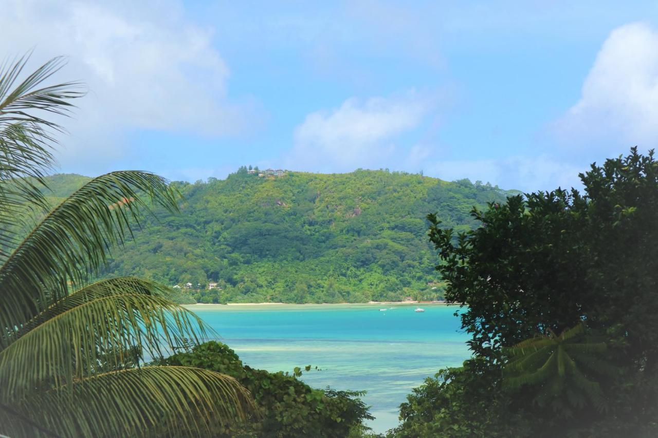 Seychelles Yellow Petals Anse Boileau Екстериор снимка