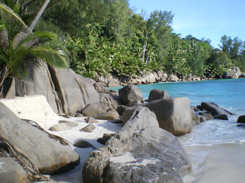 Seychelles Yellow Petals Anse Boileau Екстериор снимка