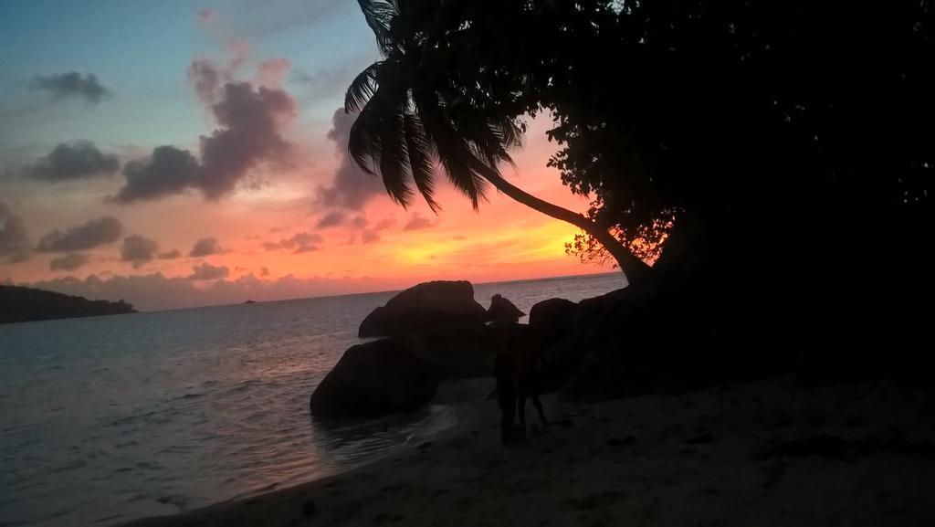 Seychelles Yellow Petals Anse Boileau Екстериор снимка