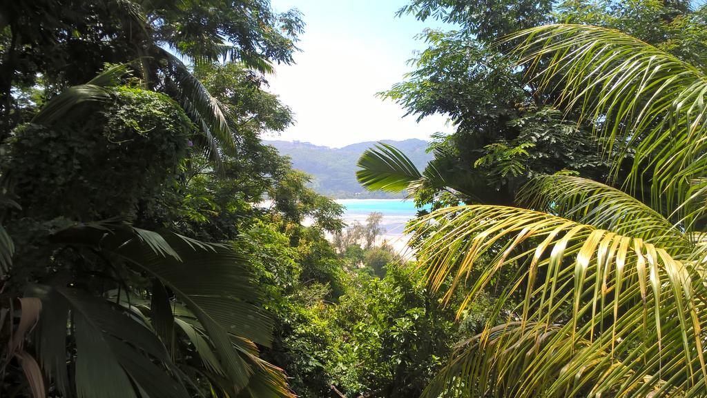 Seychelles Yellow Petals Anse Boileau Екстериор снимка