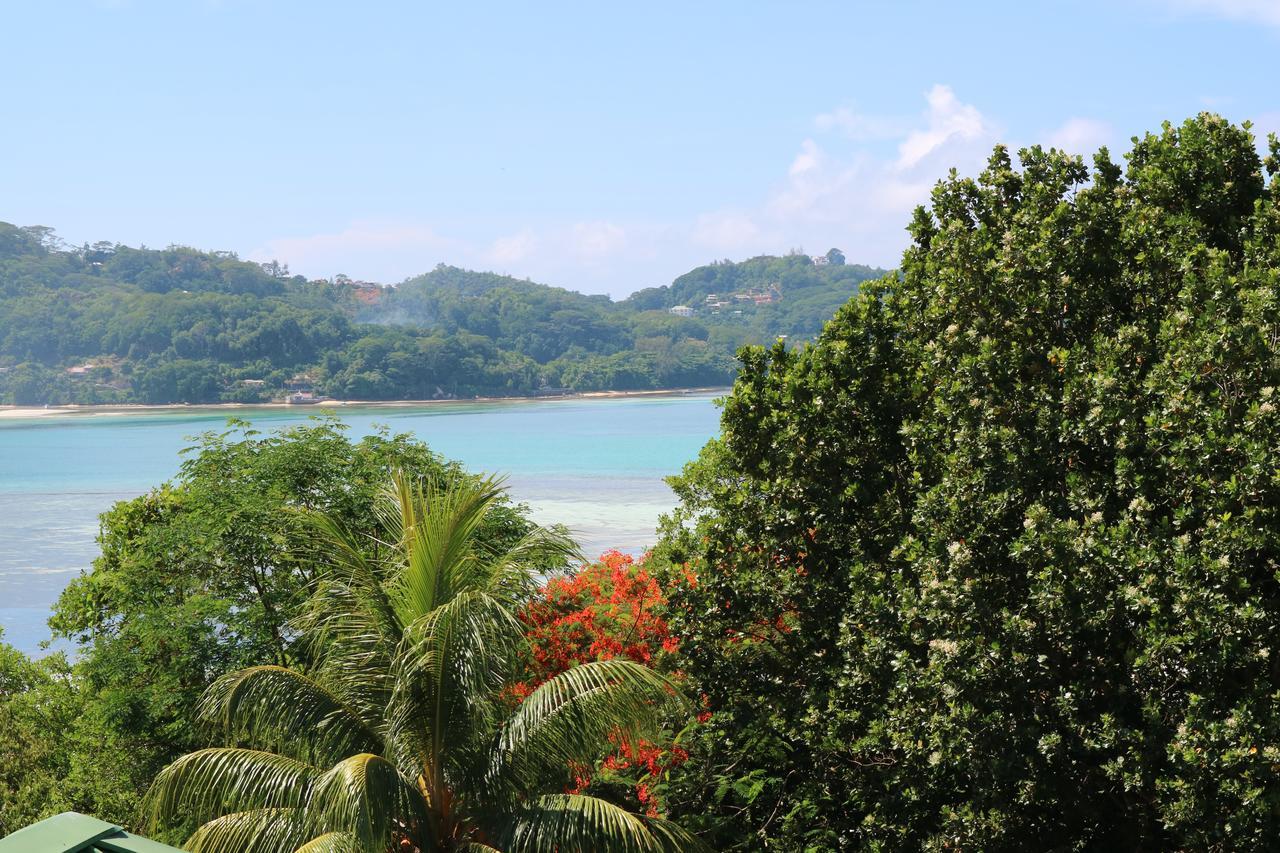 Seychelles Yellow Petals Anse Boileau Екстериор снимка